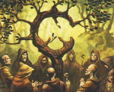 druids