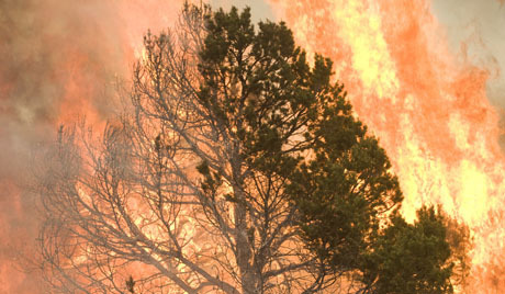 USA Arizona Wildfire