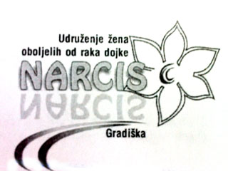 narcis