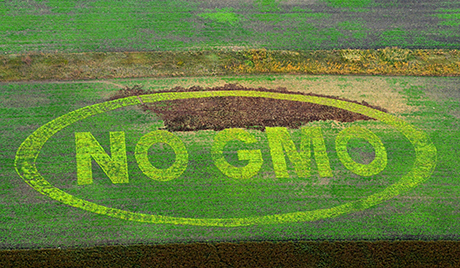 The inscription No GMO is seen