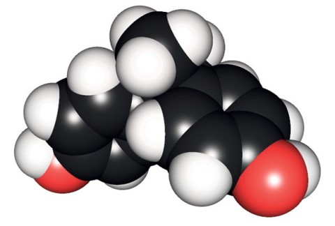 Молекул бисфенол-а. 