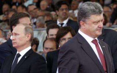 Др Петровић за МРС: Могући само ситнији помаци у преговорима Путин-Порошенко